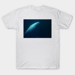 Beluga Whale Swimming Solo T-Shirt